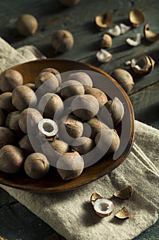 Raw Organic Coconut Coquito Nuts