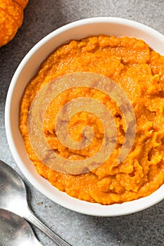 Raw Organic Cooked Pumpkin Puree