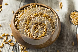 Raw Organic Dry Kamut Berries Grain