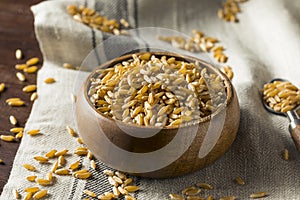 Raw Organic Dry Kamut Berries Grain