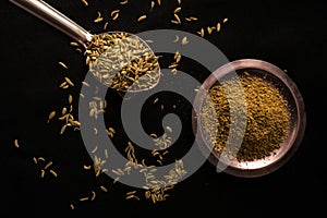 Raw organic fennel seeds and fennel seed powder against a black background