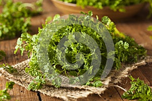 Raw Organic French Parsley Chervil