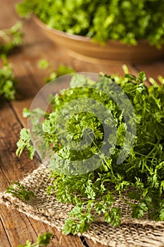 Raw Organic French Parsley Chervil