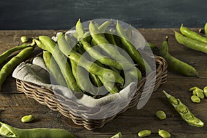 Raw Organic Fresh Green Fava Beans