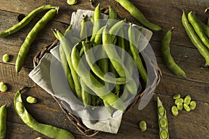 Raw Organic Fresh Green Fava Beans