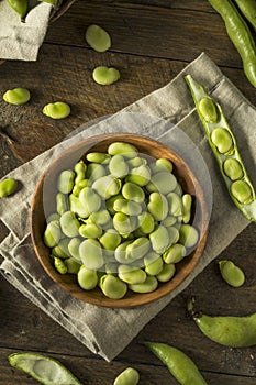 Raw Organic Fresh Green Fava Beans