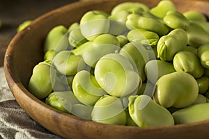 Raw Organic Fresh Green Fava Beans