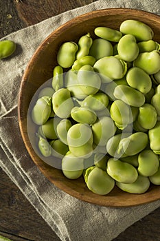 Raw Organic Fresh Green Fava Beans