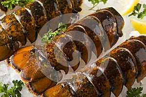 Raw Organic Fresh Lobster Tails