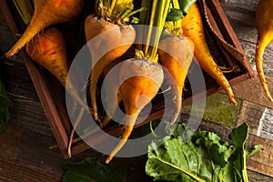 Raw Organic Golden Beets