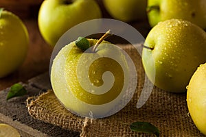 Raw Organic Golden Delicious Apples