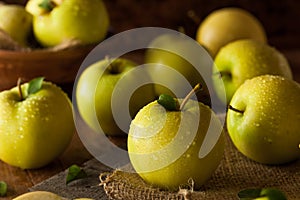 Raw Organic Golden Delicious Apples