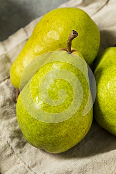 Dry Organic Conchiglie Pasta Shells