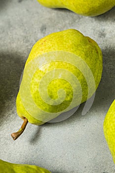 Dry Organic Conchiglie Pasta Shells