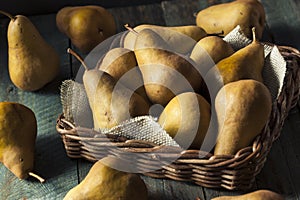 Raw Organic Green and Brown Bosc Pears