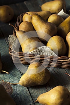 Raw Organic Green and Brown Bosc Pears