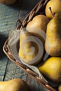 Raw Organic Green and Brown Bosc Pears