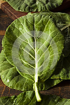 Raw Organic Green Collard Greens