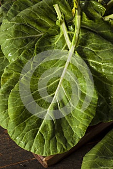 Raw Organic Green Collard Greens