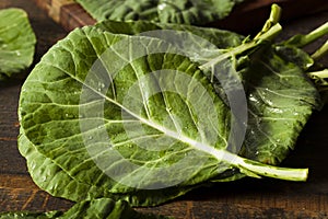 Raw Organic Green Collard Greens