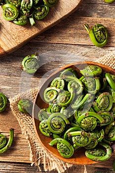 Raw Organic Green Fiddlehead Ferns