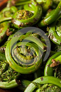 Raw Organic Green Fiddlehead Ferns