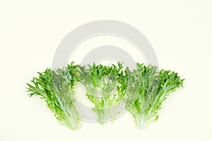 Raw organic green frisee salad on light background. Close up. Flat lay .