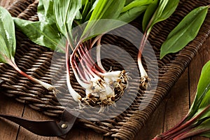 Raw Organic Green Ramps