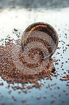 Raw organic herbal spice Mustard seeds or sarso or rai or Brassica nigra, in a clay bowl on wooden surface.