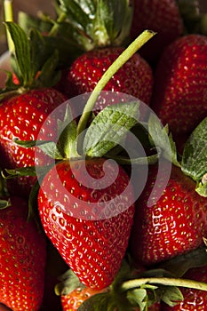 Raw Organic Long Stem Strawberries