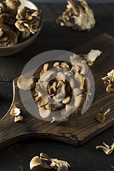 Raw Organic Maitake Mushrooms
