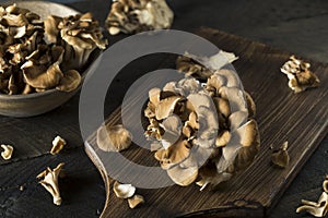 Raw Organic Maitake Mushrooms