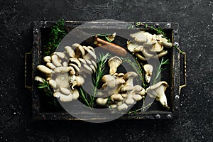 Raw Organic Maitake Mushrooms in a wooden box. on a stone table.