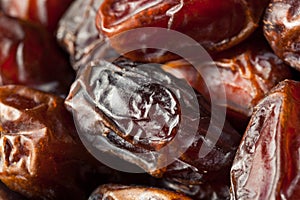 Raw Organic Medjool Dates