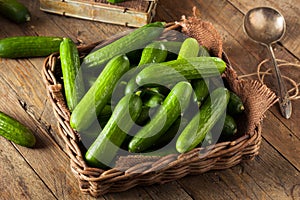 Raw Organic Mini Baby Cucumbers photo