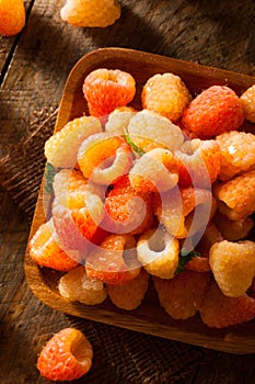 Raw Organic Orange Sunshine Raspberries