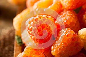 Raw Organic Orange Sunshine Raspberries