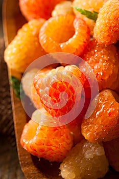 Raw Organic Orange Sunshine Raspberries