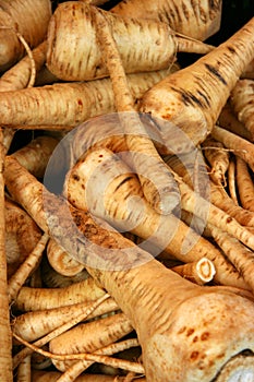 Raw organic parsnip