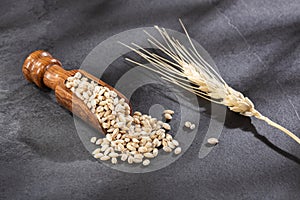Raw Organic Pearl Barley - Hordeum vulgare
