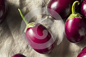 Raw Organic Purple Indian Eggplants