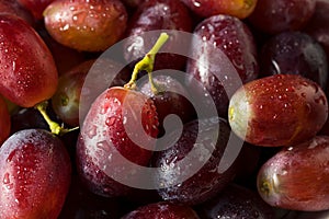Raw Organic Purple Red Grapes