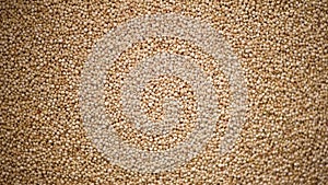 Raw organic quinoa grains on rotating background. Seeds texture. Food ingredient background. Top view, healthy lifestyle