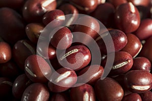 Raw Organic Red Adzuki Beans