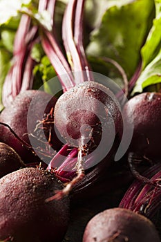 Raw Organic Red Beets