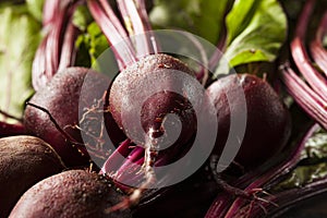 Raw Organic Red Beets
