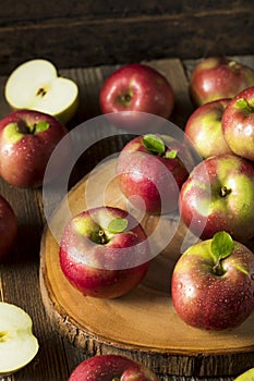 Raw Organic Red Mcintosh Apples