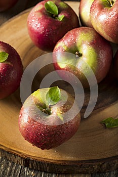 Raw Organic Red Mcintosh Apples photo