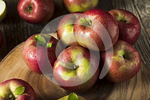 Raw Organic Red Mcintosh Apples photo