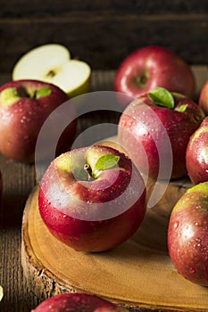Raw Organic Red Mcintosh Apples photo